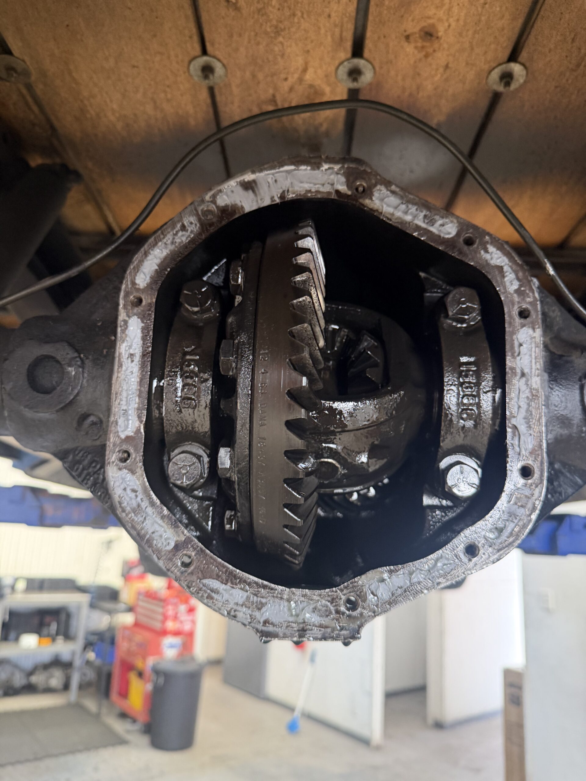 Differential Repair Christchurch